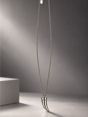 Banana Republic Silver Tone Horn Pendant Long Necklace